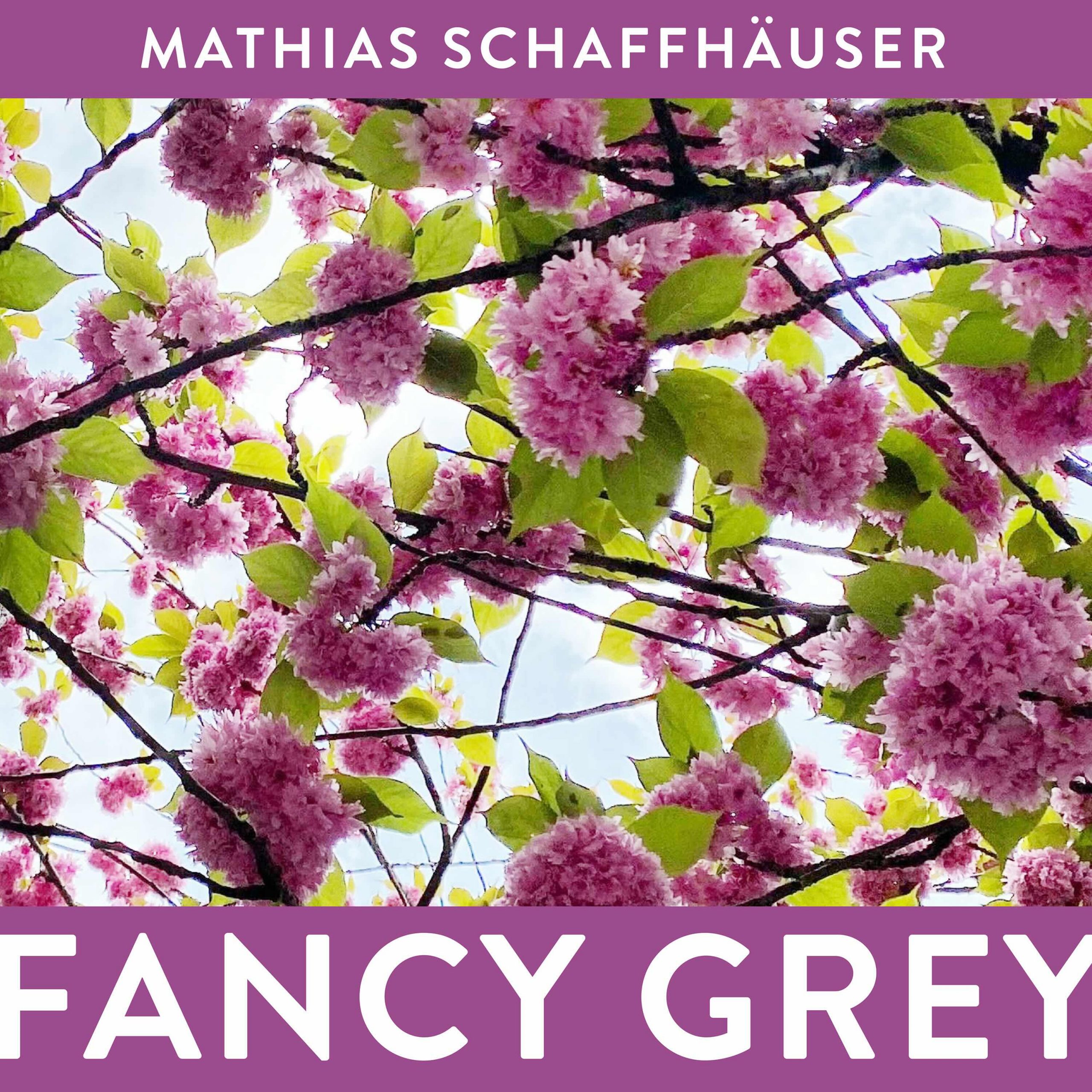Fancy Grey EP Cover